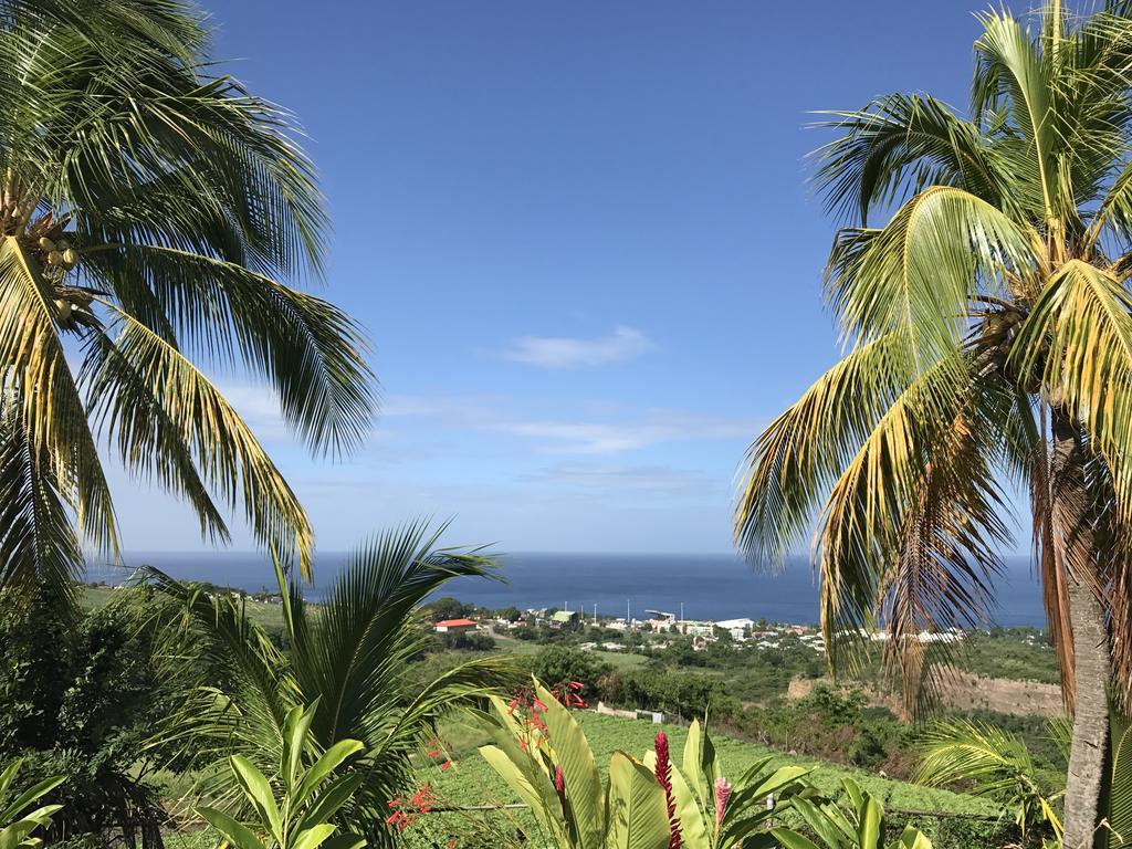 Residence Paradis Tropical Basse-Terre Eksteriør bilde