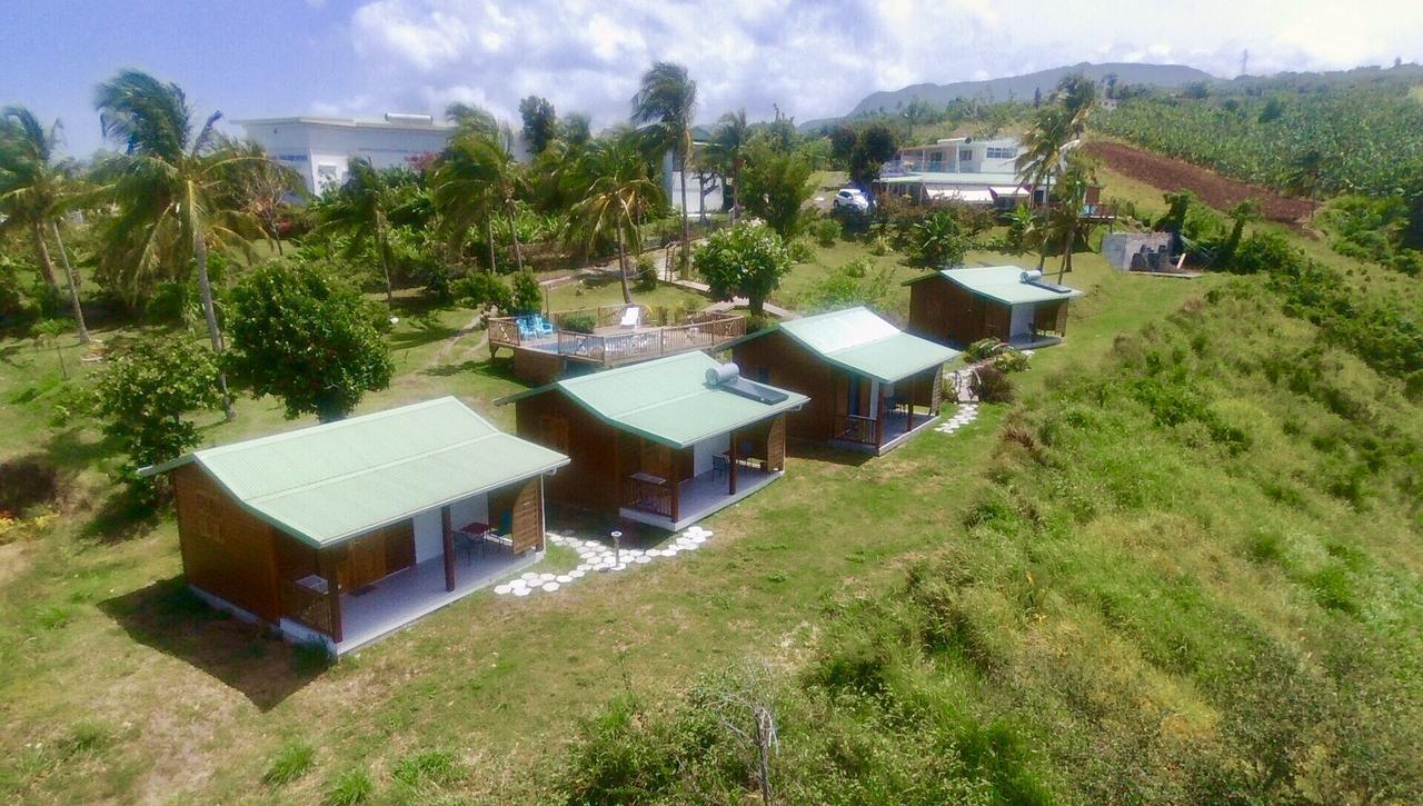Residence Paradis Tropical Basse-Terre Eksteriør bilde