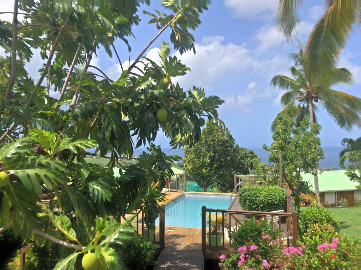 Residence Paradis Tropical Basse-Terre Eksteriør bilde