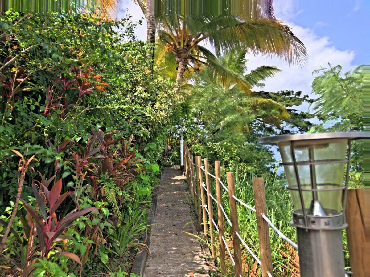 Residence Paradis Tropical Basse-Terre Eksteriør bilde
