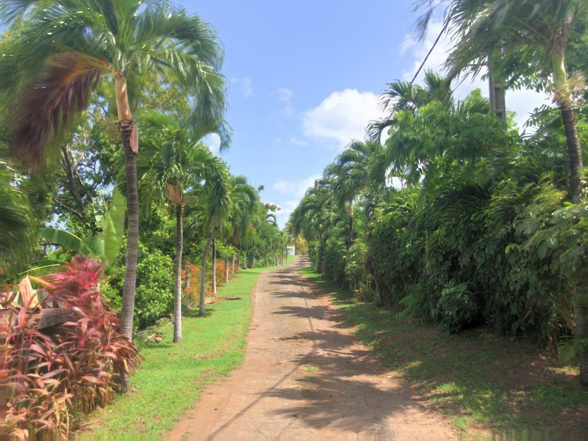 Residence Paradis Tropical Basse-Terre Eksteriør bilde