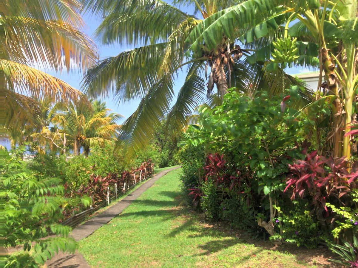 Residence Paradis Tropical Basse-Terre Eksteriør bilde