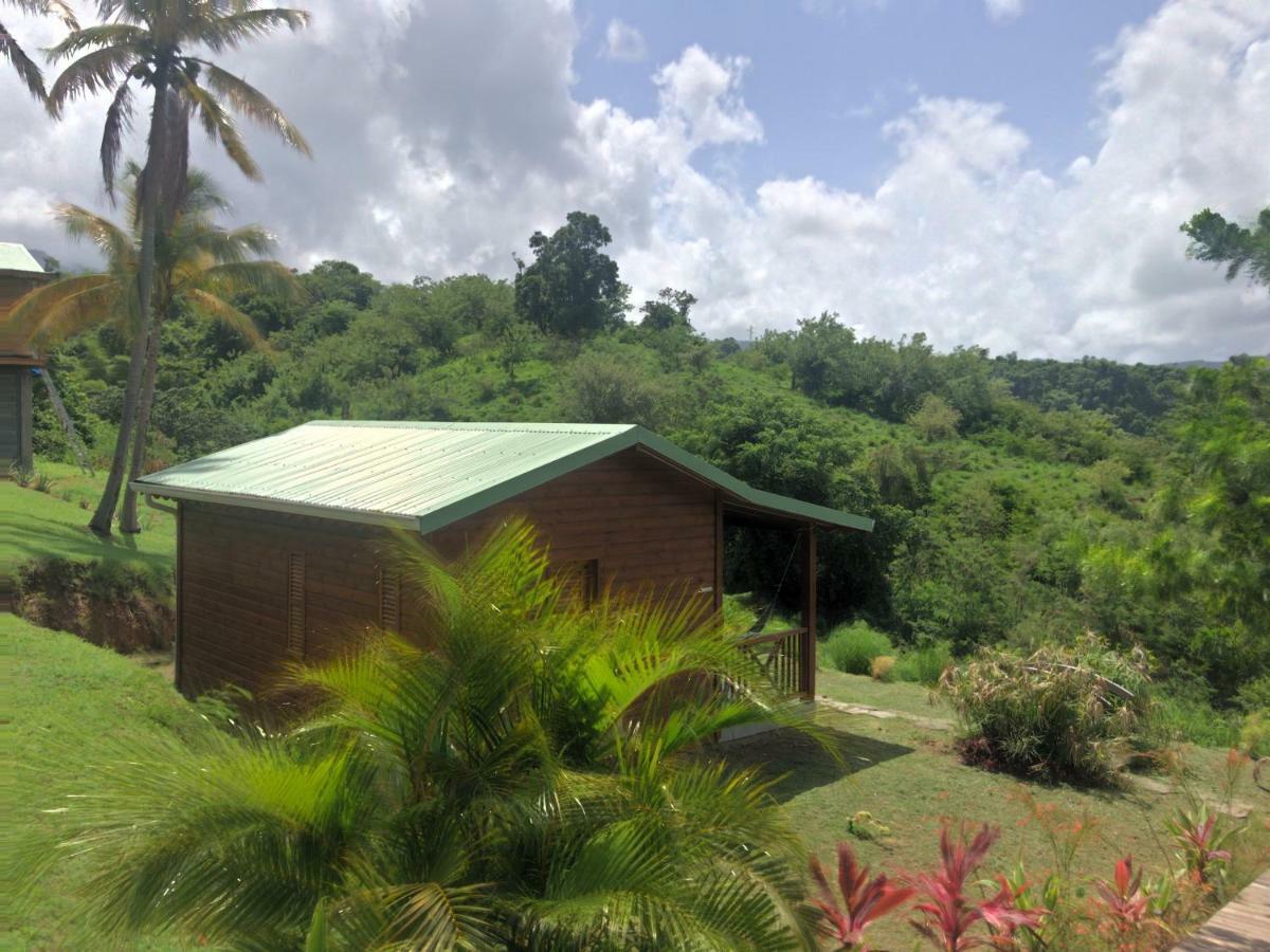 Residence Paradis Tropical Basse-Terre Eksteriør bilde