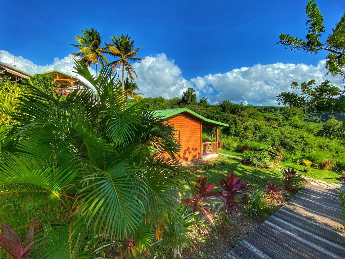 Residence Paradis Tropical Basse-Terre Eksteriør bilde